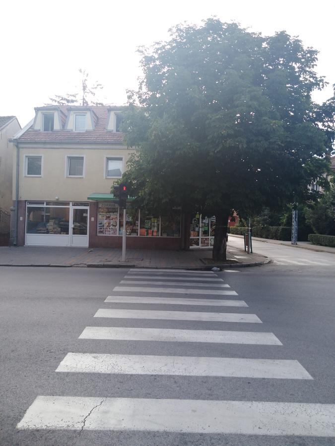 Veliki Park Villa Šabac Dış mekan fotoğraf